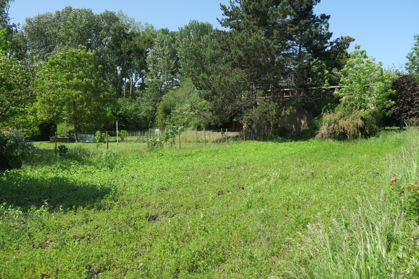 Image_8, Terrain, Éragny, ref :391