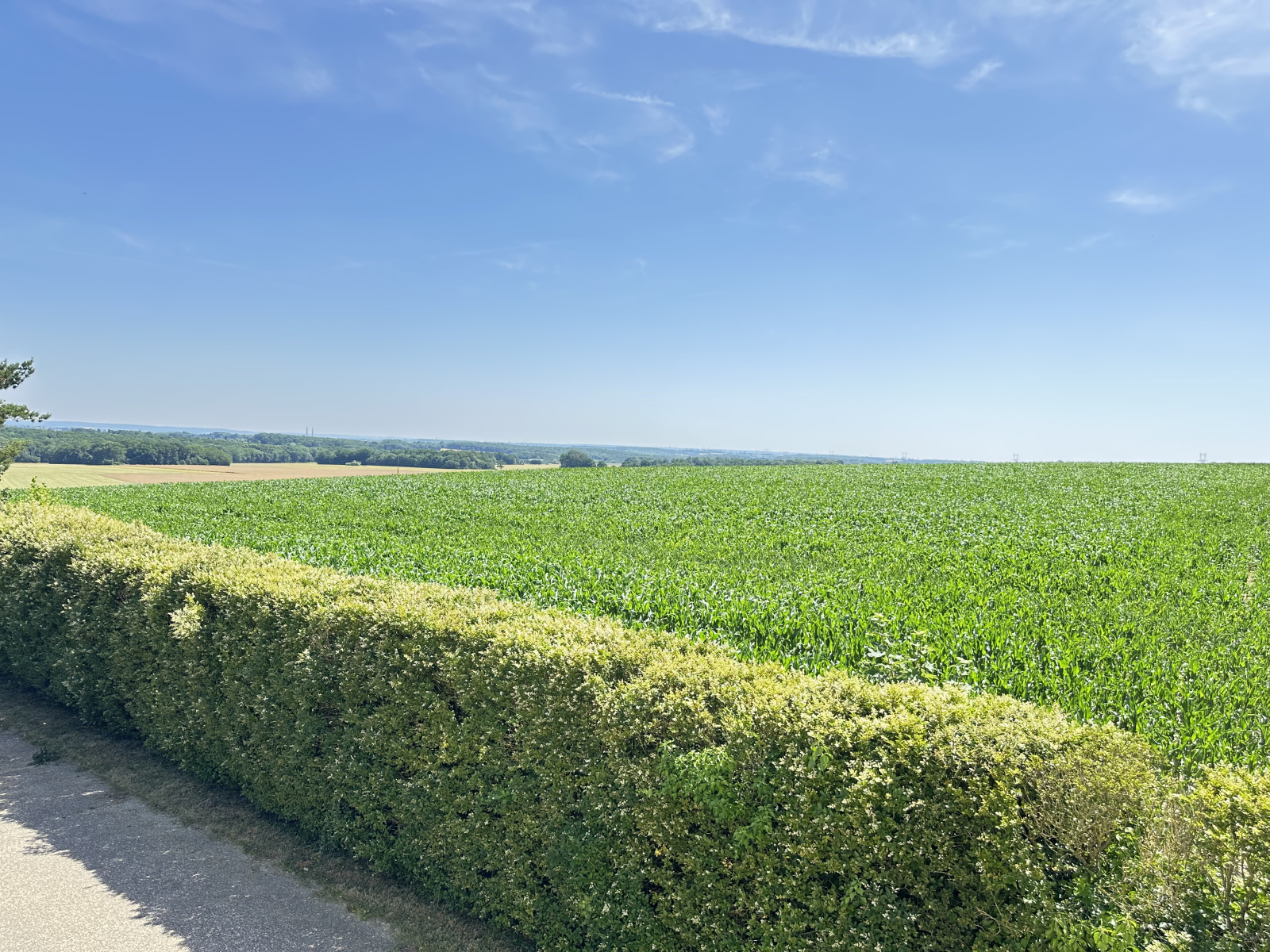 Image_13, Maison, Longnes, ref :621