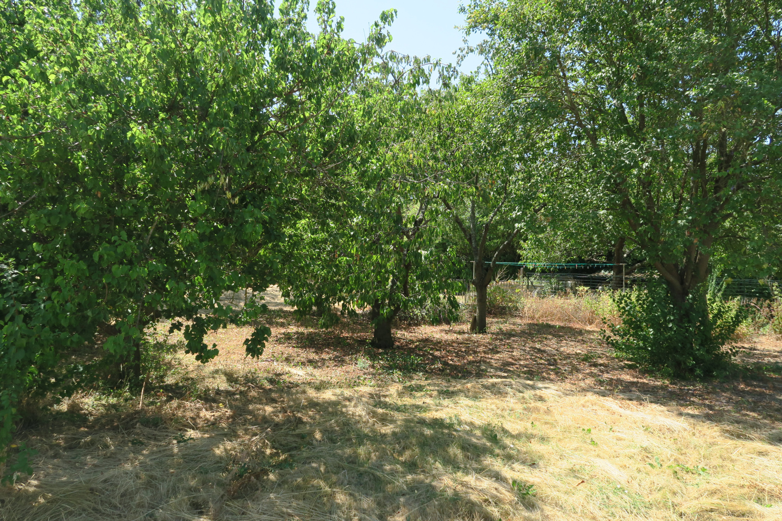 Image_3, Maison, La Couture-Boussey, ref :718