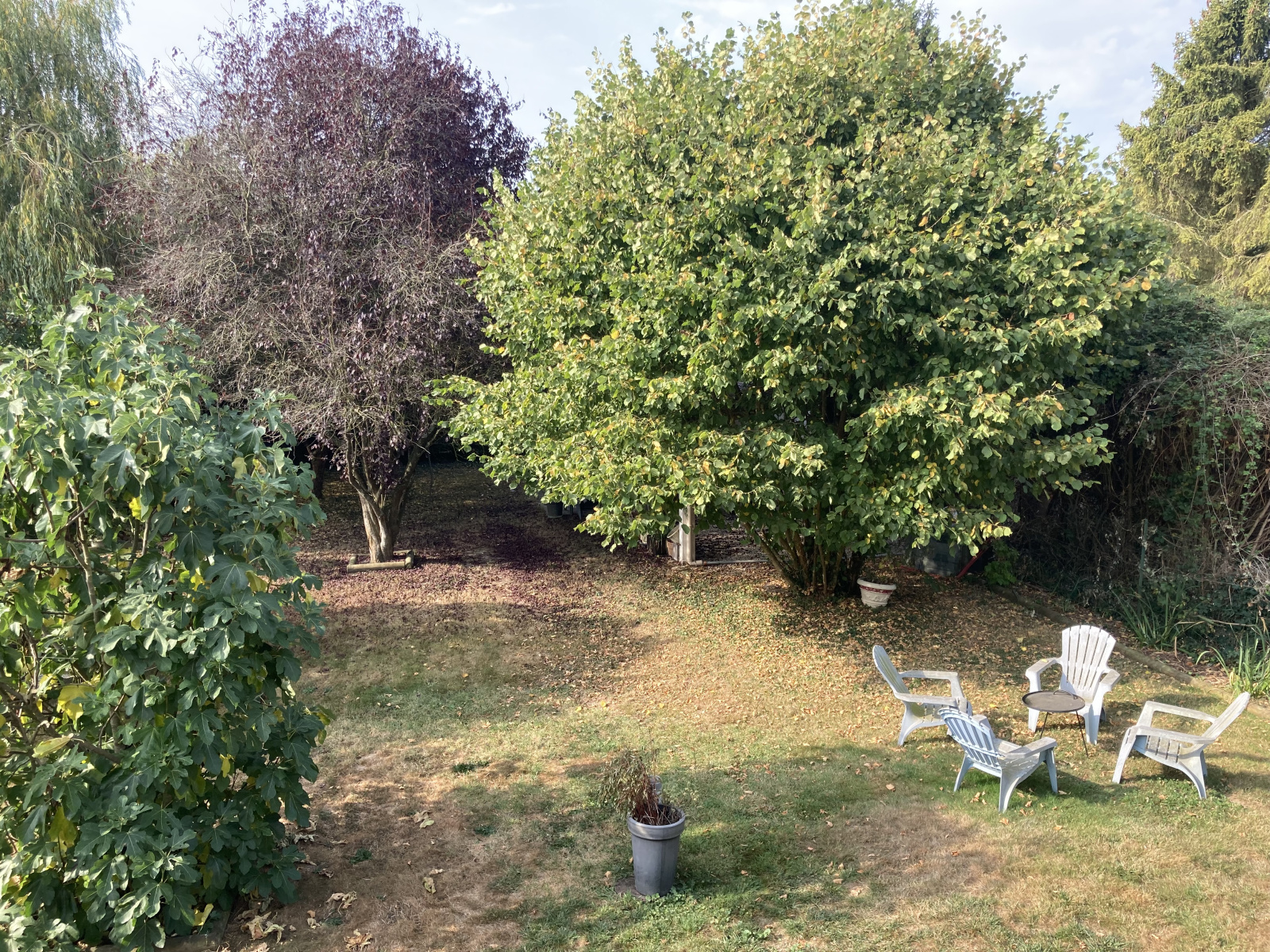 Image_20, Maison, Le Mesnil-Simon, ref :634