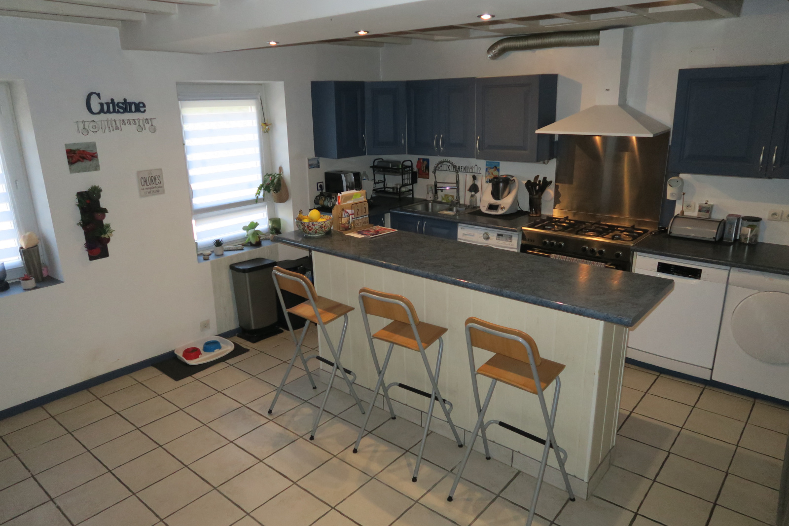 Image_10, Maison, Flacourt, ref :546