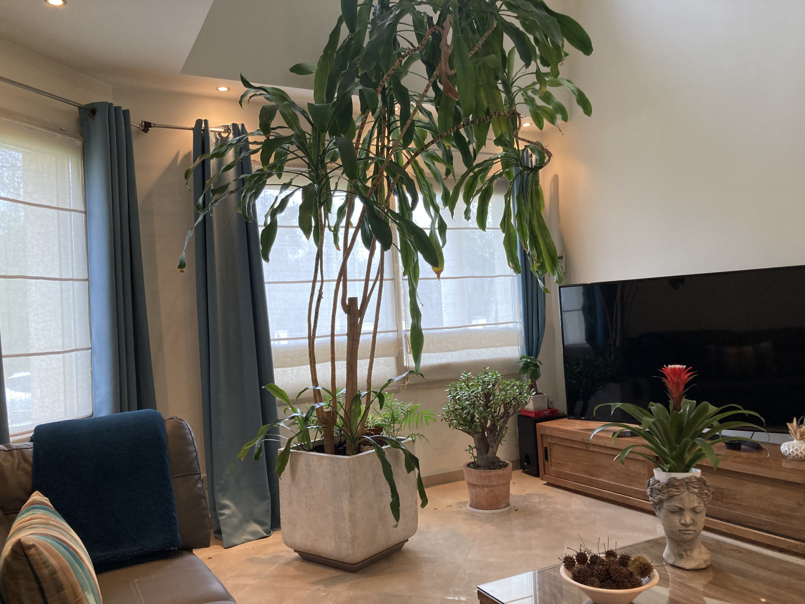 Image_5, Propriete, Rosny-sur-Seine, ref :572