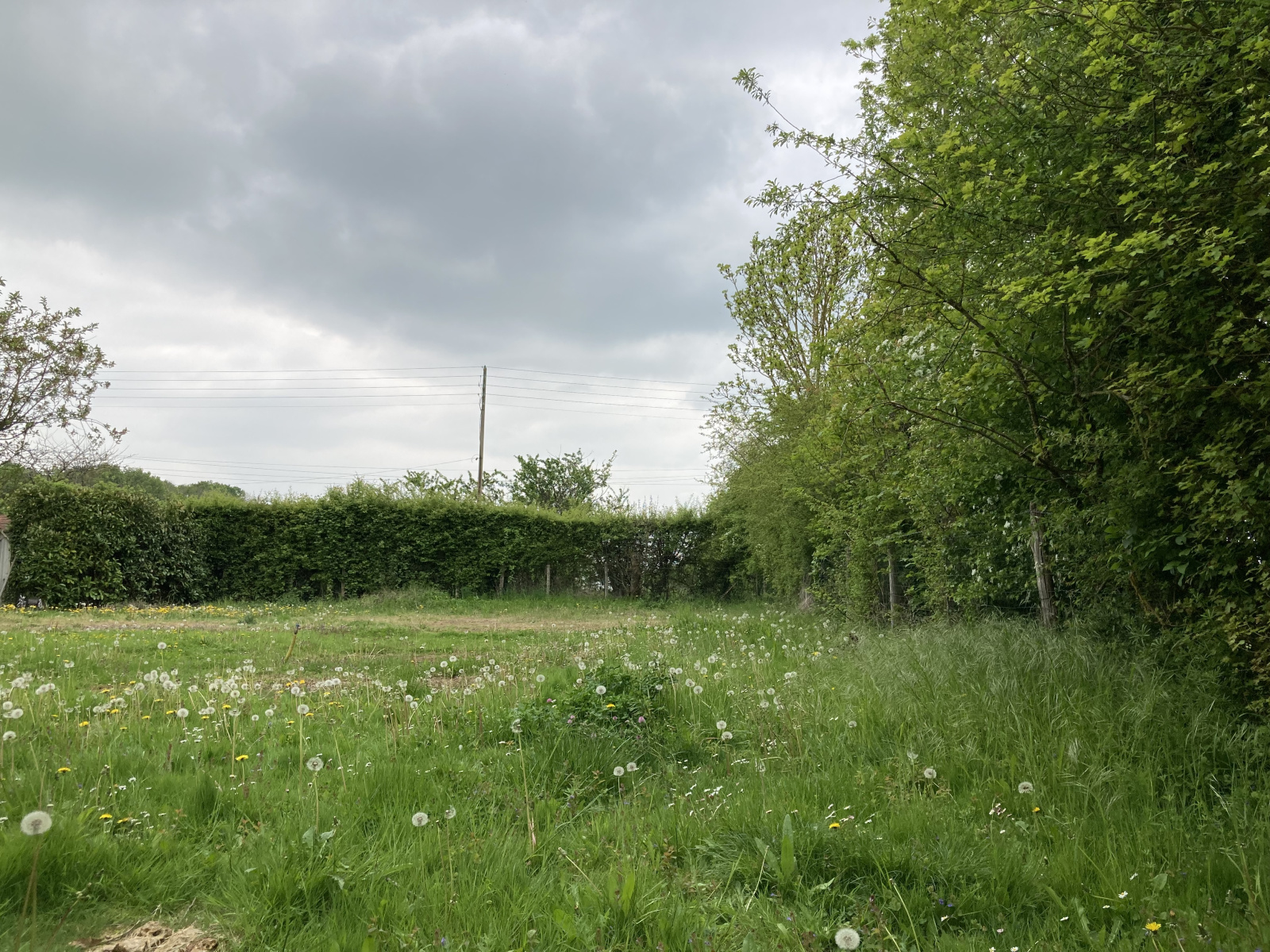 Image_2, Terrain à batir, Longnes, ref :605