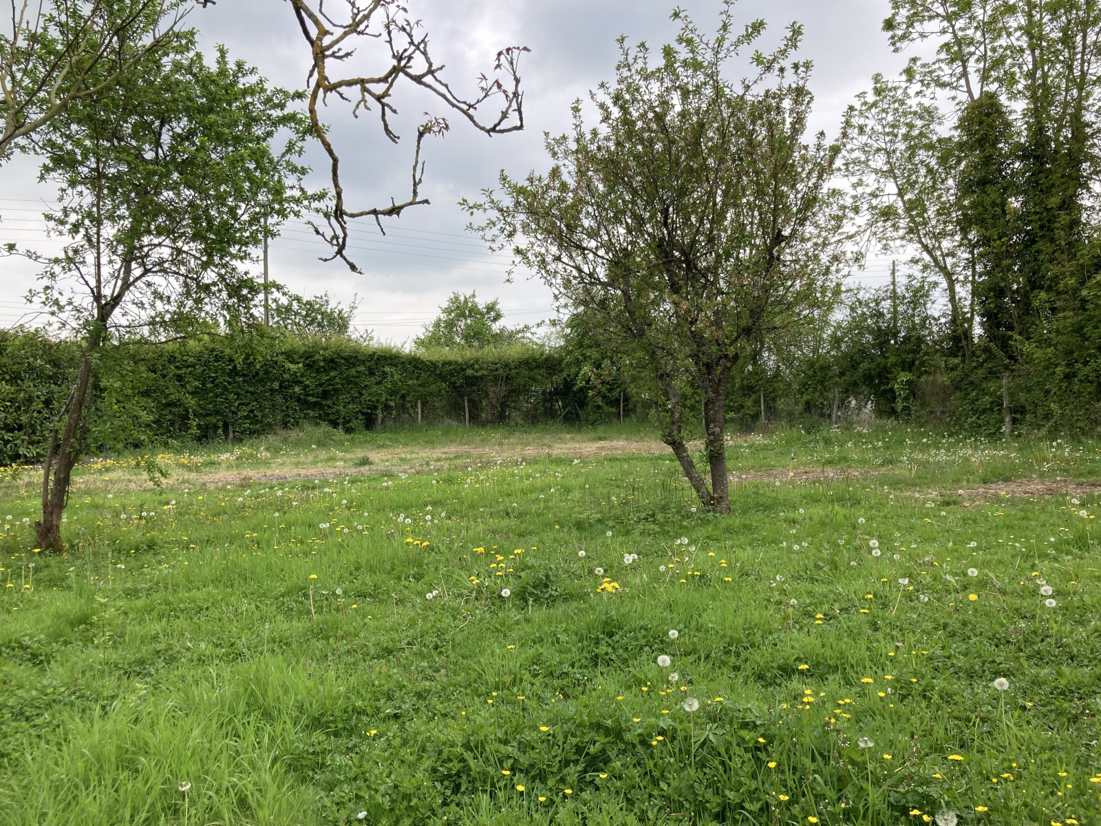 Image_1, Terrain à batir, Longnes, ref :605