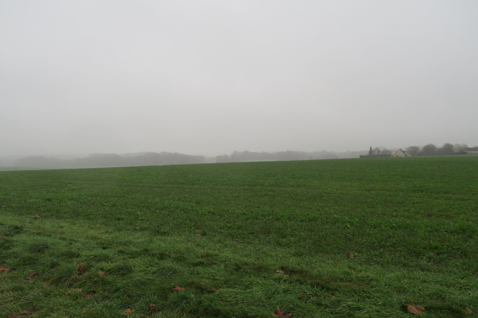 Image_6, Maison, Saint-Illiers-la-Ville, ref :659