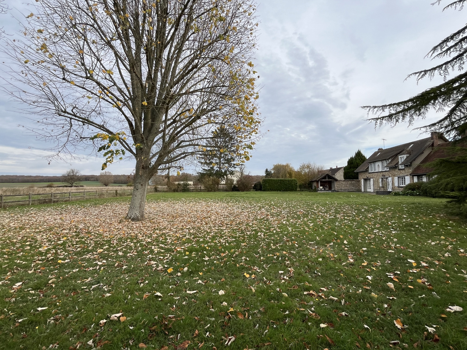 Image_4, Propriete, Flexanville, ref :654