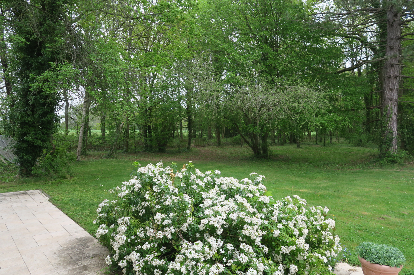 Image_3, Maison, Magnanville, ref :700