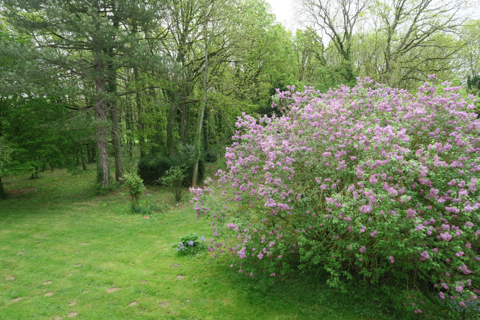 Image_25, Maison, Magnanville, ref :700