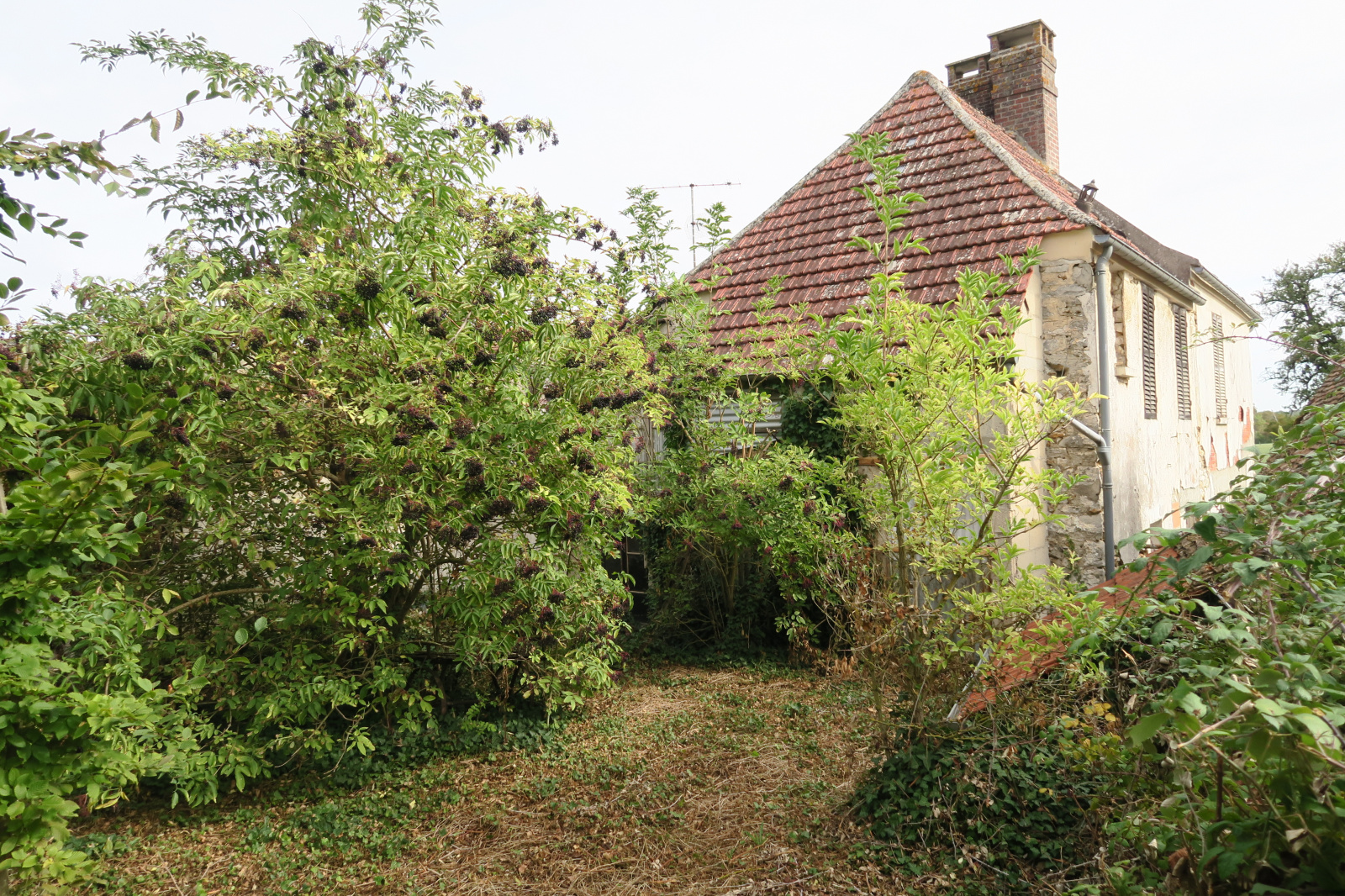 Image_18, Maison, Bréval, ref :744