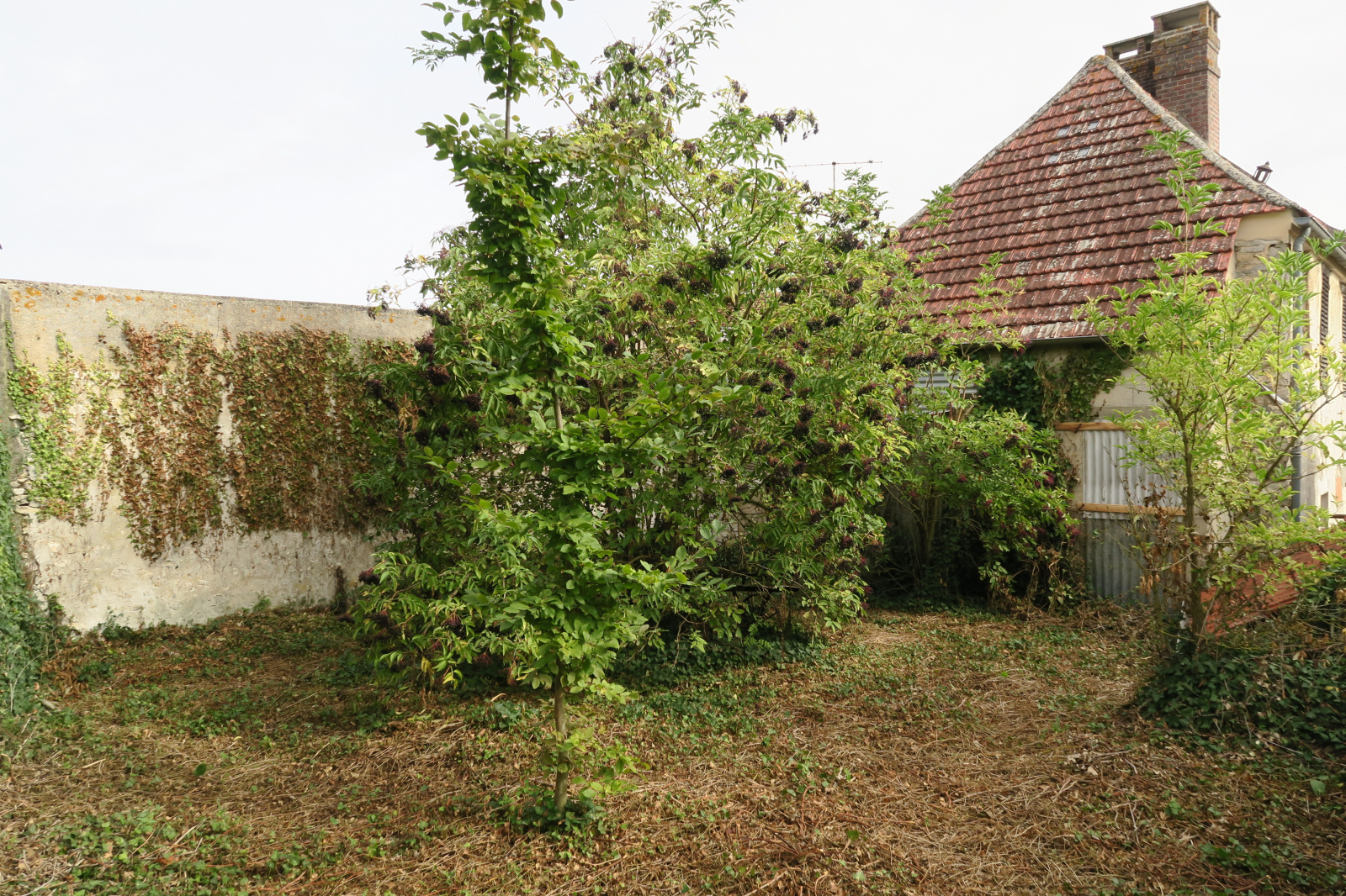 Image_16, Maison, Bréval, ref :744